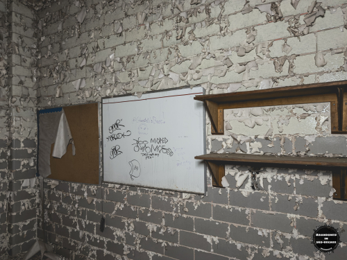 William S Hall Psychiatric Institute