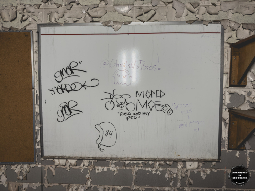 William S Hall Psychiatric Institute