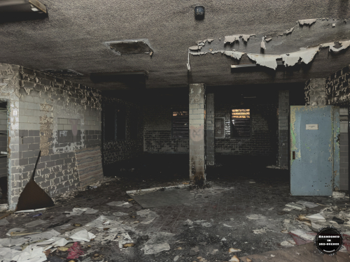 William S Hall Psychiatric Institute