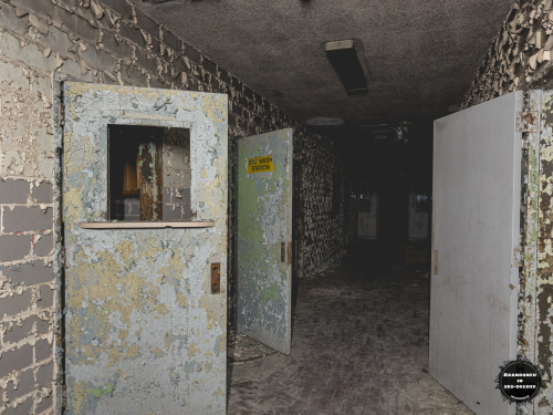 William S Hall Psychiatric Institute