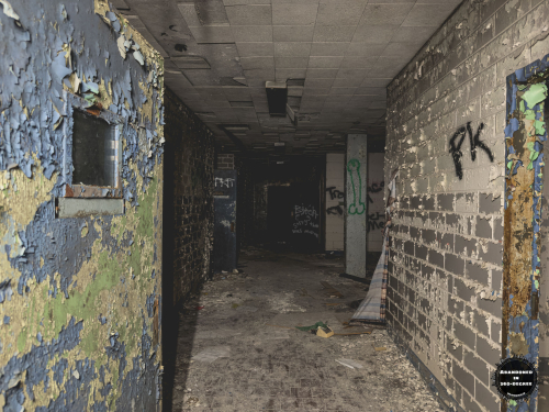 William S Hall Psychiatric Institute