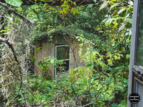 Williston House of Florida