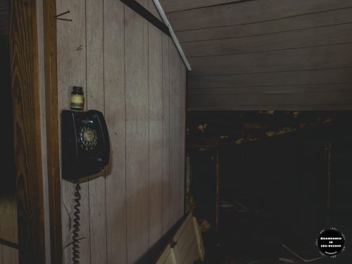 Williston House of Florida