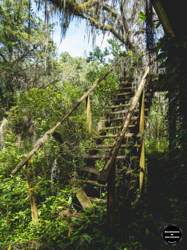 Williston House of Florida