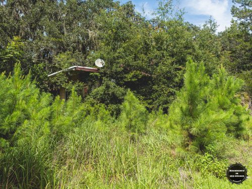 Williston House of Florida