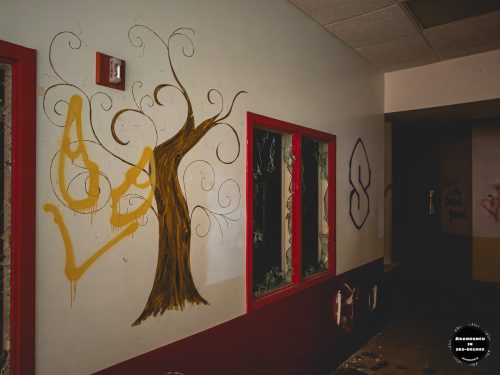 The abandoned Wish Upon A Star Daycare in Florida.